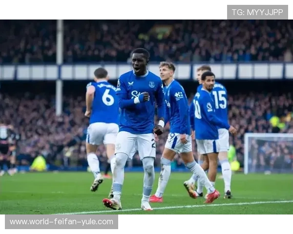 埃弗顿俱乐部历程回顾与未来展望：重振辉煌之路