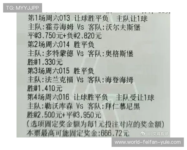 霍芬海姆1899俱乐部阵容调整与赛季表现前景全面解析新动向